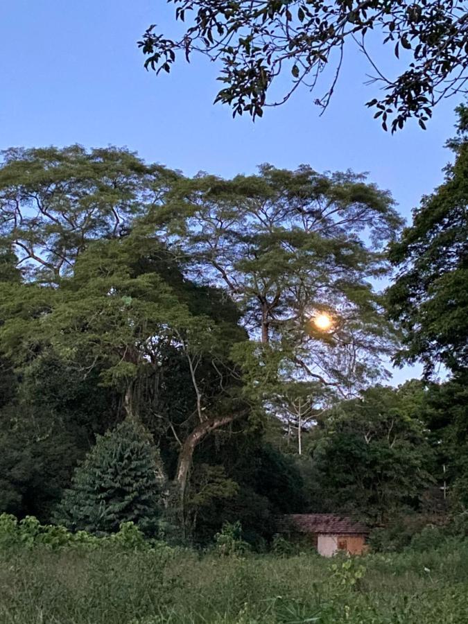 Recanto Da Floresta - Casa De Campo Em Secretario Петрополис Экстерьер фото