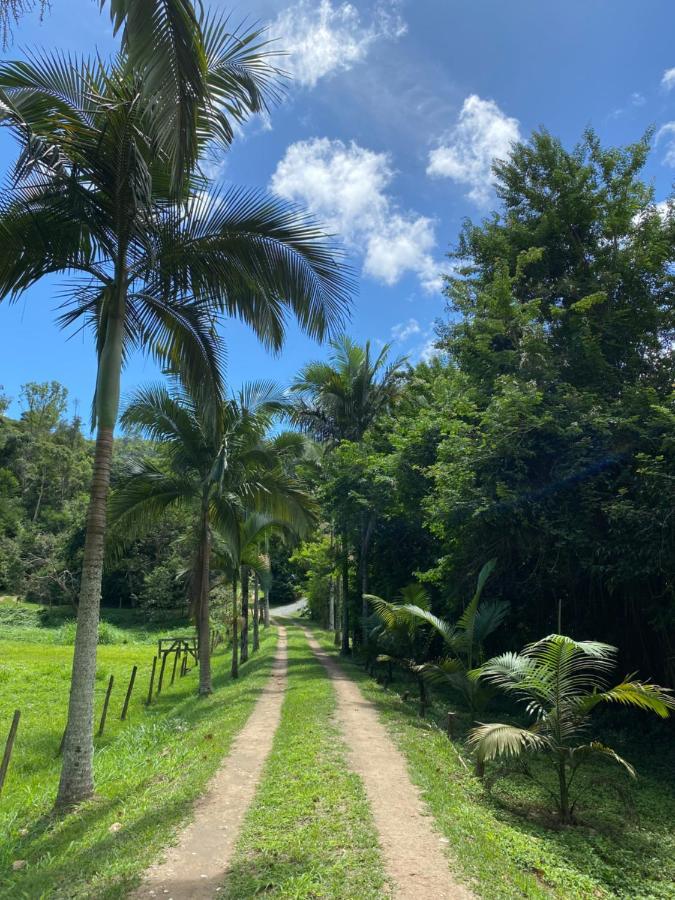 Recanto Da Floresta - Casa De Campo Em Secretario Петрополис Экстерьер фото